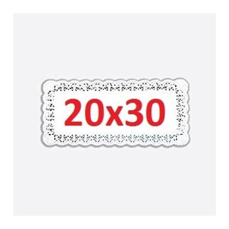 PIZZO PORCELLANATO RETTANGOLARE 20x30cm 100pz