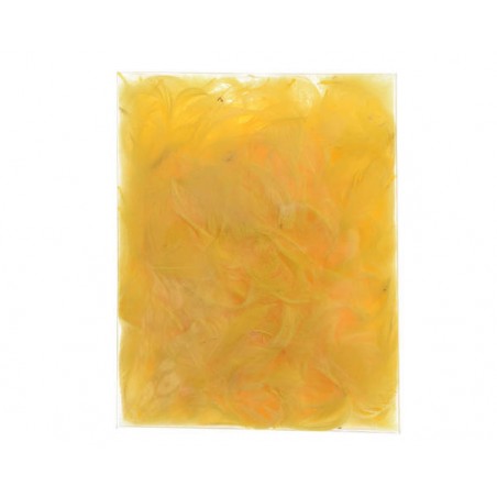 BUSTA PIUME GIALLE 5gr