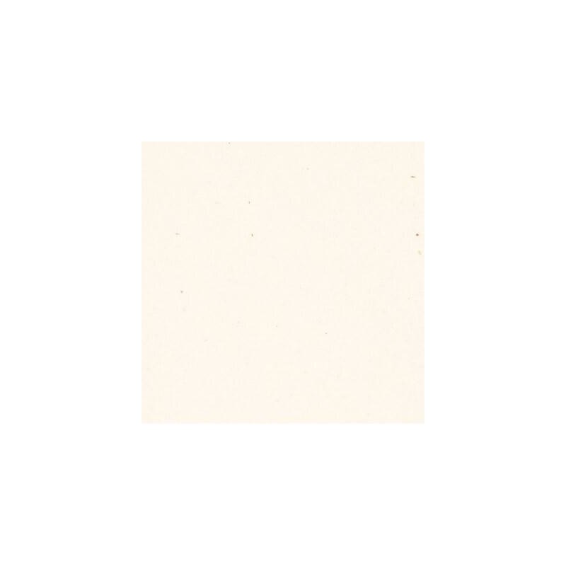 CARTA A4 21x29,7cm FLORA BEIGE gr.130 25fg