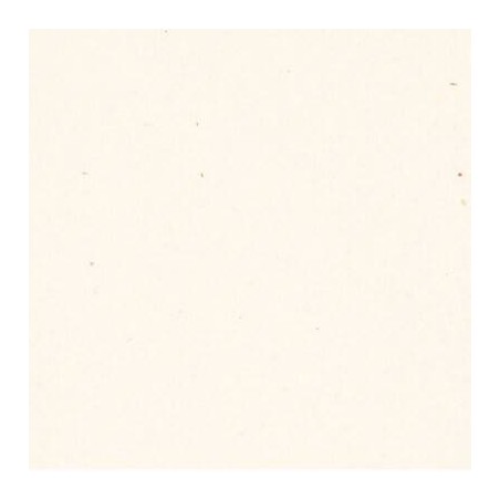CARTA A4 21x29,7cm FLORA BEIGE gr.130 25fg