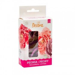 SET TEGLIA PASTA PEONIA