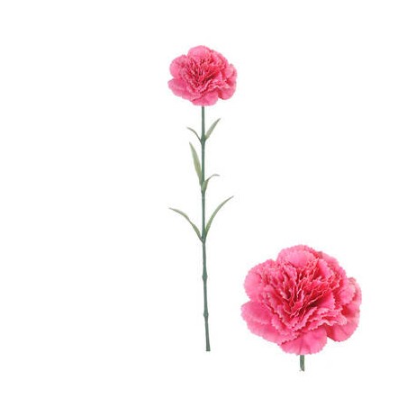 FIORE DI GAROFANO S/STELO 57cm ROSA