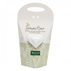 SCATOLINA CON GESSO CUORE E CARTA PIANTABILE 9x4,5x16cm