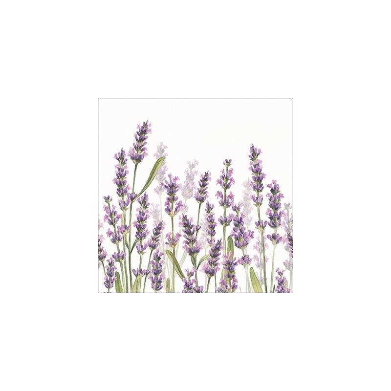 TOVAGLIOLI 33x33 LAVANDA SHADES BIANCO 20pz