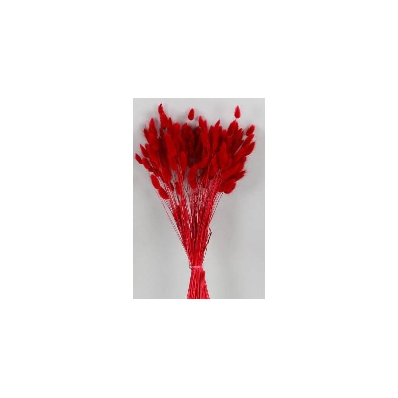 LAGURUS ROSSO IN BUSTA 100gr