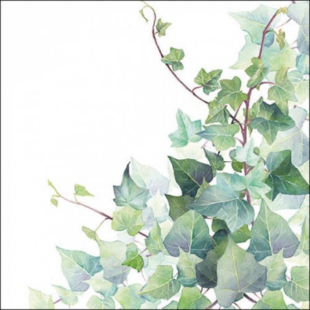 TOVAGLIOLI 33x33 HEDERA WHITE 20pz