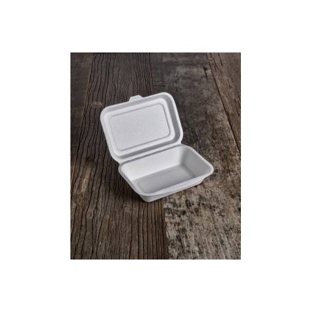 VASCHETTA POLPA BIO COMPOSTABILE 550ml 27x18x2/4cm 50pz