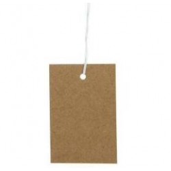 CARTONCINO TAG 4x6cm AVANA 48pz