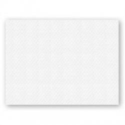 TOVAGLIETTE CARTA 30x40cm BIANCHE ECO 480pz