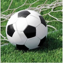 TOVAGLIOLI 33x33 CHAMPIONSHIP SOCCER 16pz