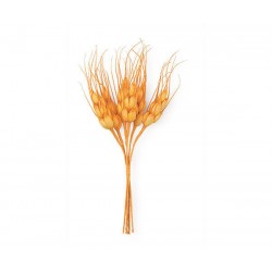 MAZZETTO 6 SPIGHE ARANCIONE 14cm 12pz (12x6)