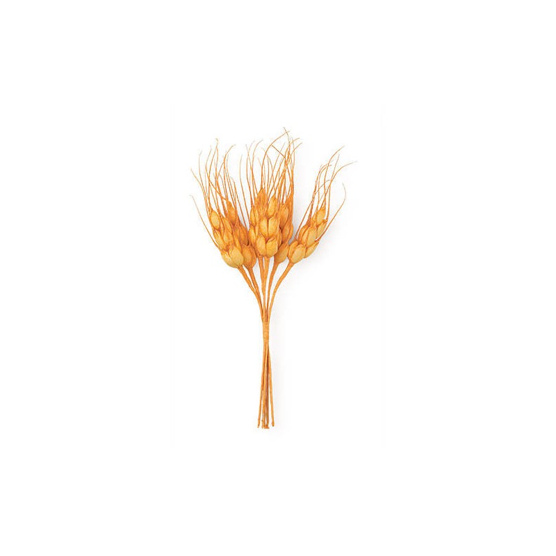 MAZZETTO 6 SPIGHE ARANCIONE 14cm 12pz (12x6)