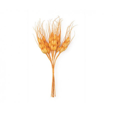MAZZETTO 6 SPIGHE ARANCIONE 14cm 12pz (12x6)