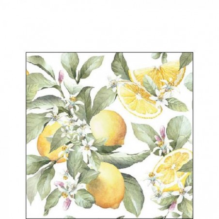 TOVAGLIOLI 25x25 HIBISCUS LIMONI 20pz