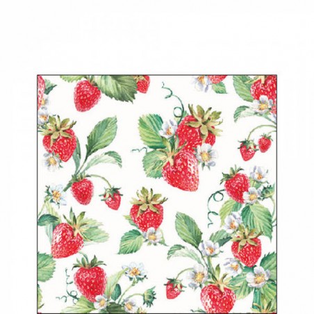 TOVAGLIOLI 25x25 GIARDINO DI FRAGOLE 20pz