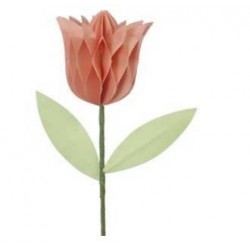 TULIPANO IN CARTA Ø7,5x8cm PESCA