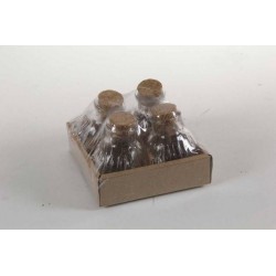 BOTTIGLIA VETRO 60ml 4pz 753084