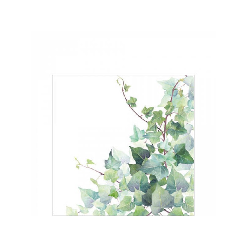 TOVAGLIOLI 25x25 HEDERA WHITE 20pz