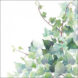 TOVAGLIOLI 33x33 HEDERA WHITE 20pz