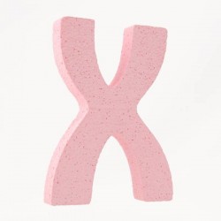 LETTERA POLISTIROLO PASTELLO mm120x90 X ROSA PASTELLO