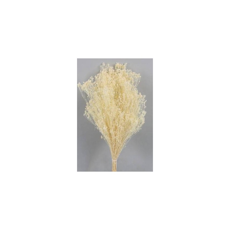 BROOM SBIANCATO BUSTA 100gr