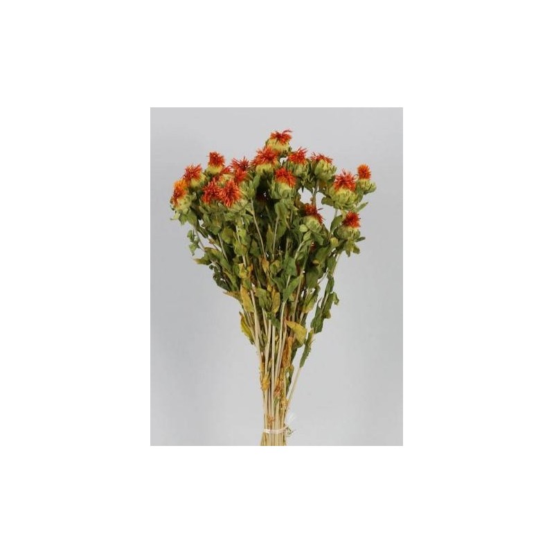 CARTHAMUS CON FIORE BUSTA 100gr