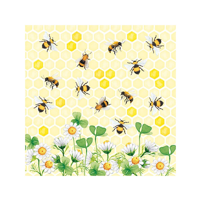 TOVAGLIOLI 33x33 APE JOY 20pz