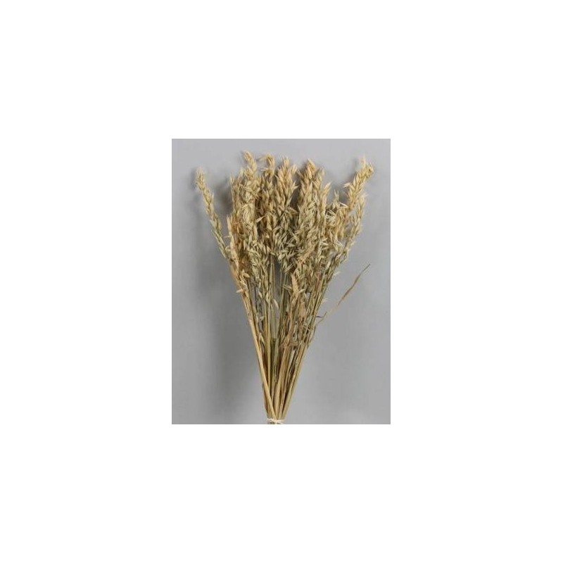 AVENA NATURALE BUSTA 100gr