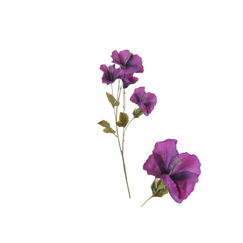 STELO HIBISCUS VIOLA 80cm