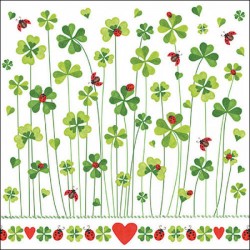 TOVAGLIOLI 33x33 QUADRIFOGLI 20pz