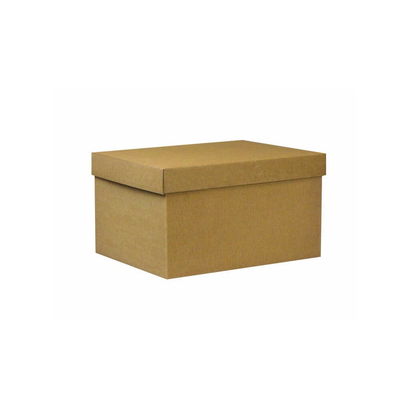 SCATOLA F/COPERCHIO LINEA 1100 38,5x30x22cm ONDA AVANA PORTATA 8kg