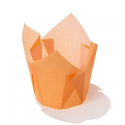 PIROTTINI TULIP 50x50mm H.72mm ARANCIO 120pz