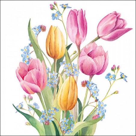 TOVAGLIOLI 33x33 BOUQUET TULIPANI 20pz