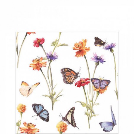 TOVAGLIOLI 25x25 BUTTERFLY GARDEN WHITE 20pz