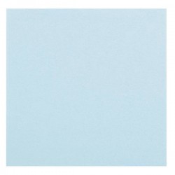 TOVAGLIOLI 33x33 BLU FIORDALISO 16pz