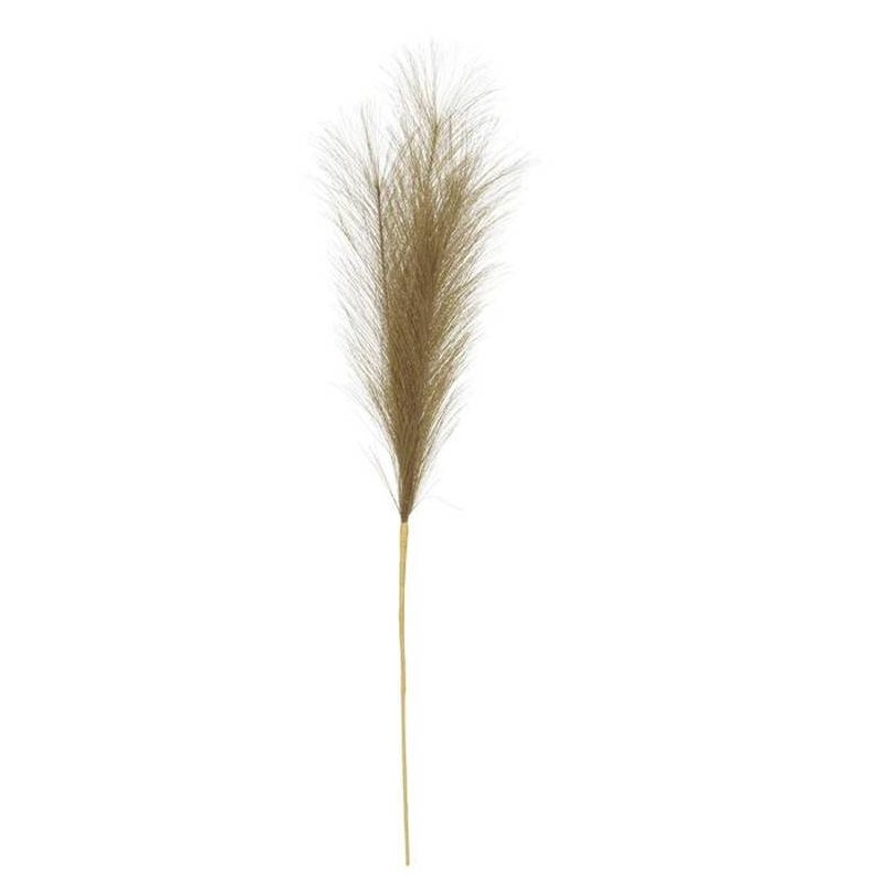 PAMPAS H60cm VERDE