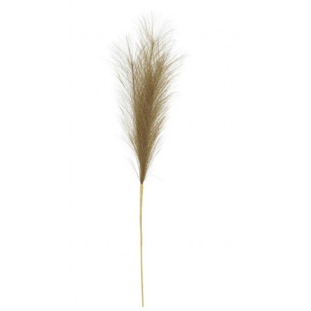 PAMPAS H60cm VERDE