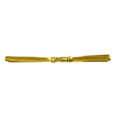 NASTRO TWIST PVC ANIMATO mm4x250mt ORO