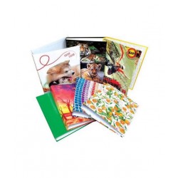 CARTELLINA AD ANELLI A4 SOGGETTI EVA COLLECTIONS