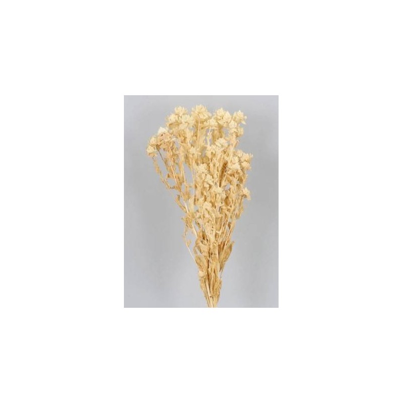 CARTHAMUS SBIANCATO BUSTA 100gr