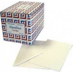 BIGLIETTO + BUSTA 14x9cm OPALINA EXTRA BIANCO 100pz