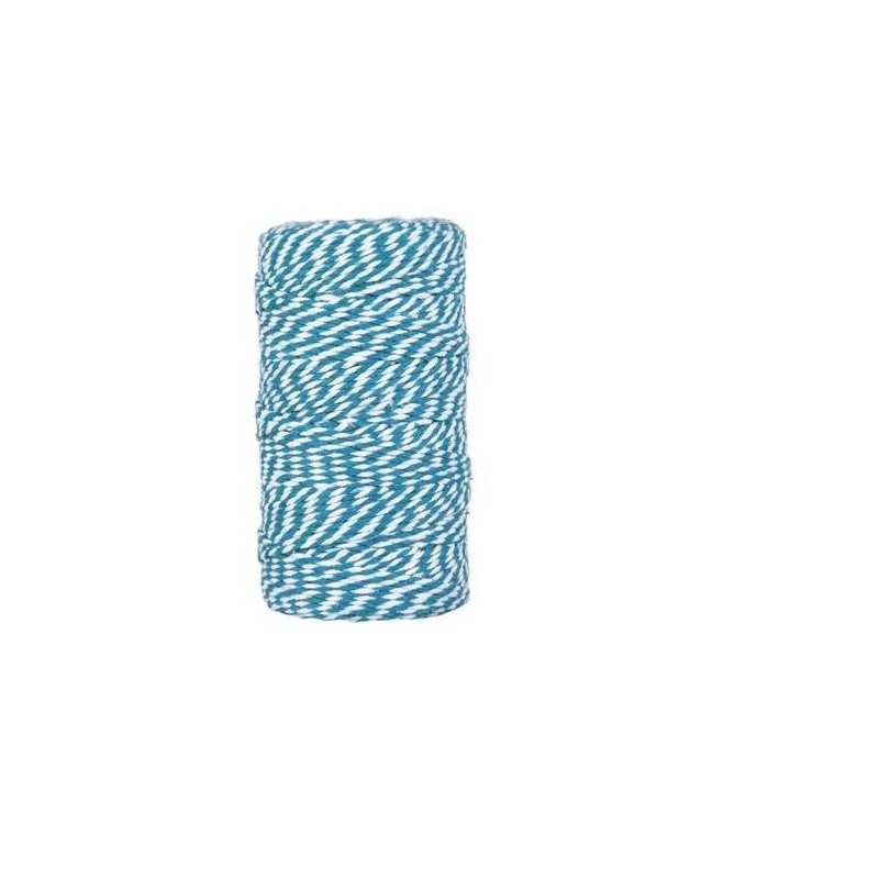 CORDINO BICOLORE mm2x100mt AZZURRO/BIANCO