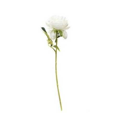 FIORE PEONIA C/STELO 50cm BIANCO