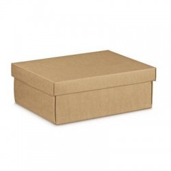 SCATOLA F/COPERCHIO EASY 24x20x9,5cm AVANA