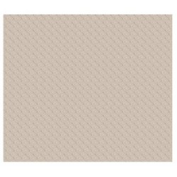 TOVAGLIA AIRLAID 100x100cm ETNIC CAFFE 25pz