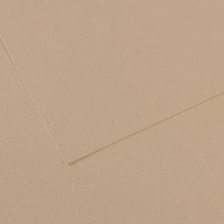 CARTONCINO MI-TEINTES CANSON A4 50fg 160gr GRIS TRIANON 343