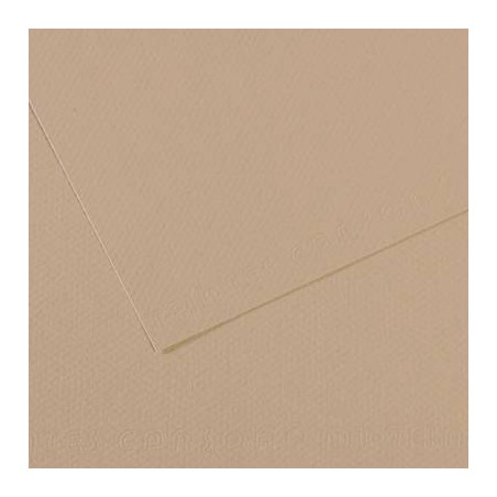 CARTONCINO MI-TEINTES CANSON A4 50fg 160gr GRIS TRIANON 343