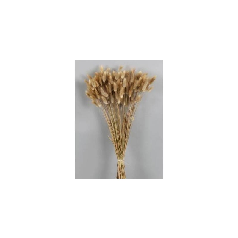 LAGURUS NATURALE BUSTA 100gr