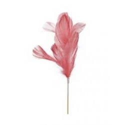 PIUME ROSA 20cm 12pz