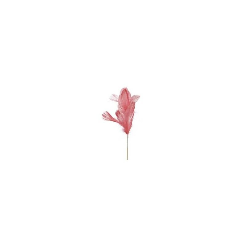 PIUME ROSA 20cm 12pz